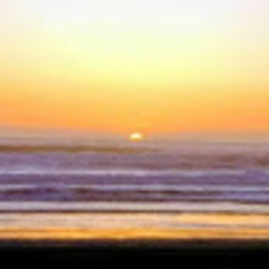 Meet your Posher, Tawnya